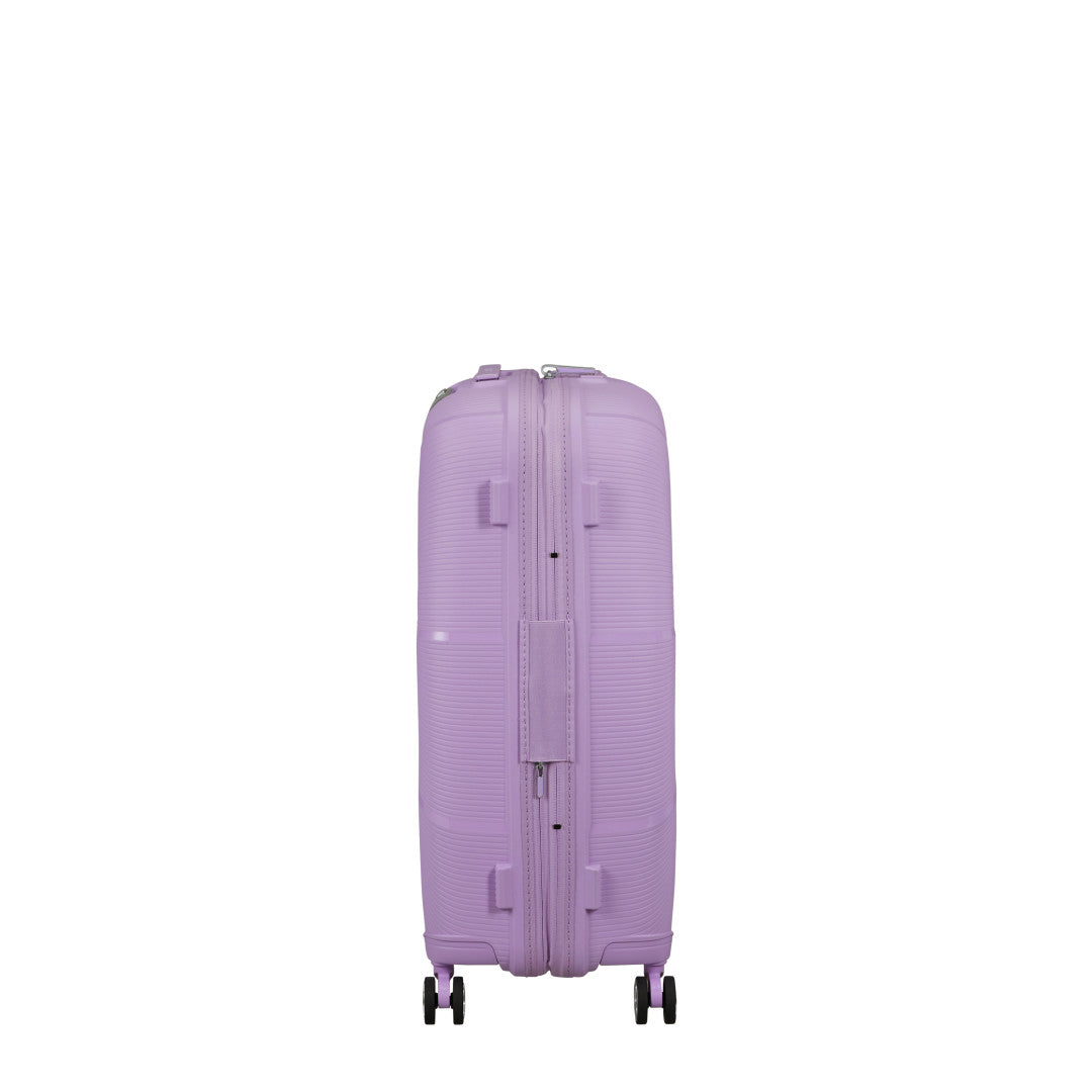 Lavendel