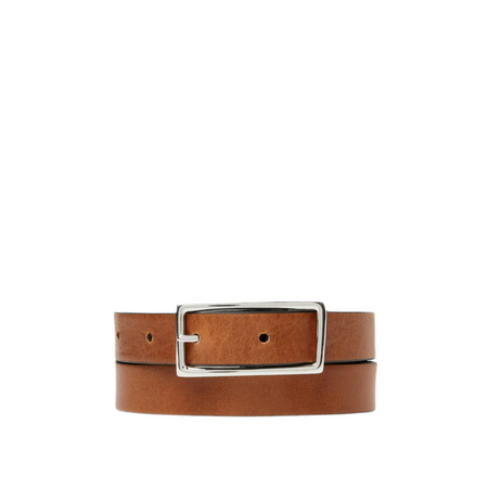 Saddler Averno