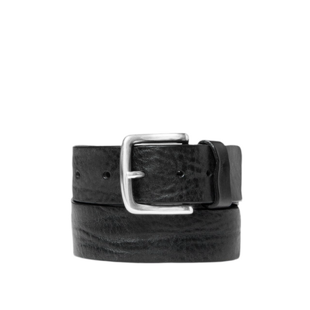 Saddler Anten