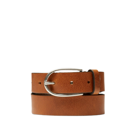 Saddler Harlow