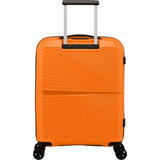 Mango Orange