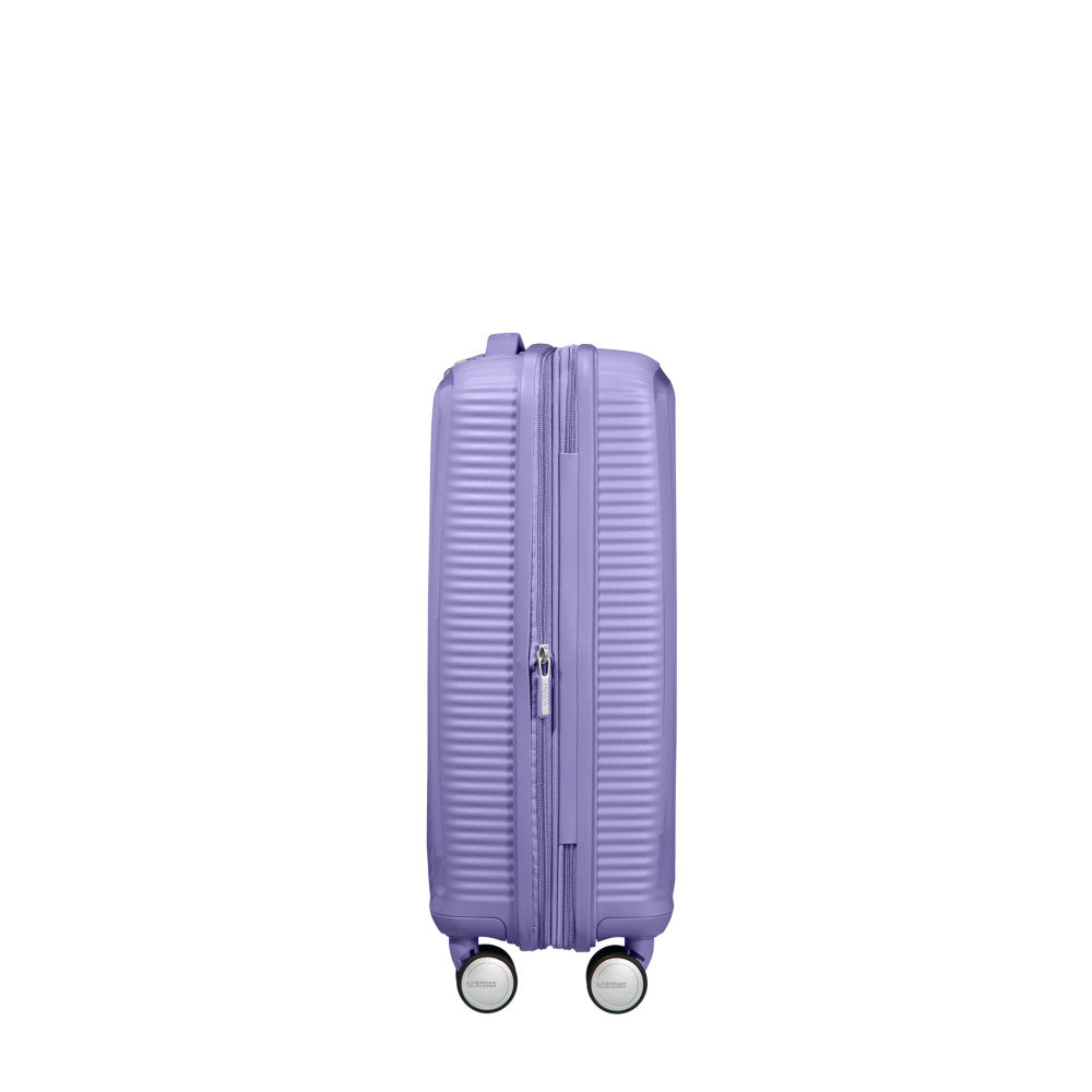 Lavendel