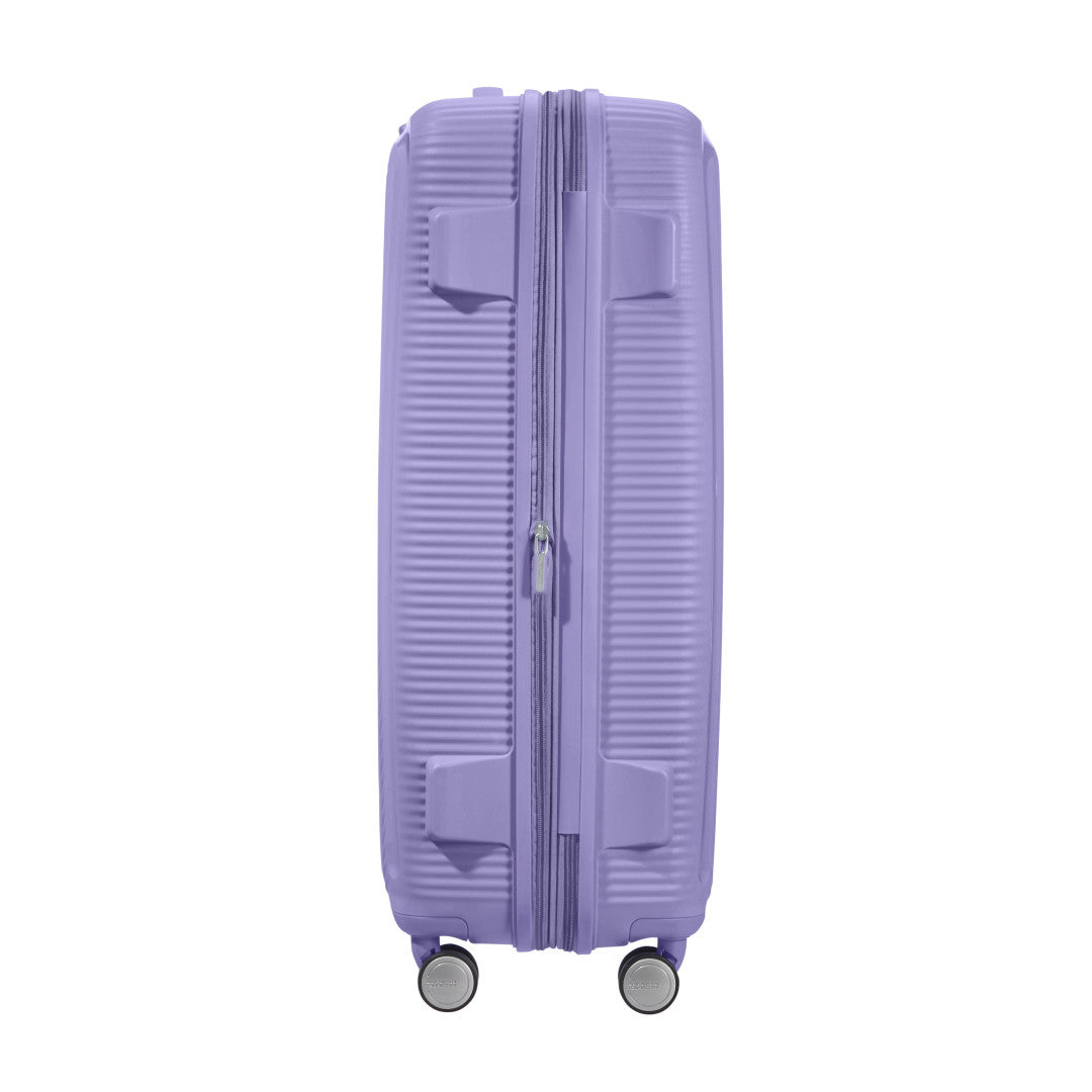Lavendel