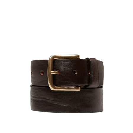 Saddler Anten