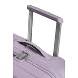 Stormy Lilac