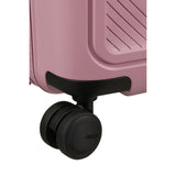 Lilas Rosa