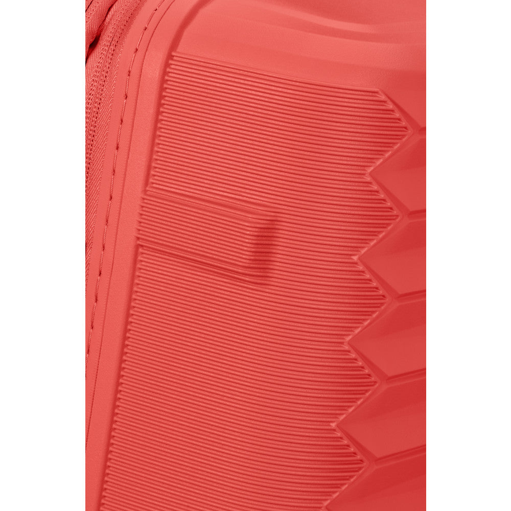 Sunset Coral