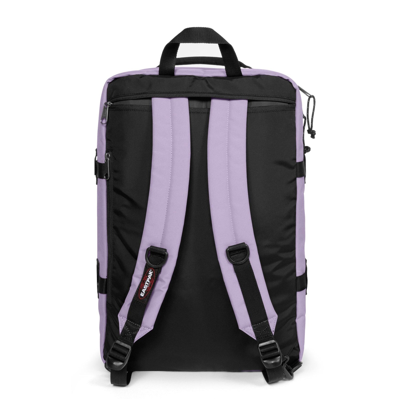 Orchid Lila