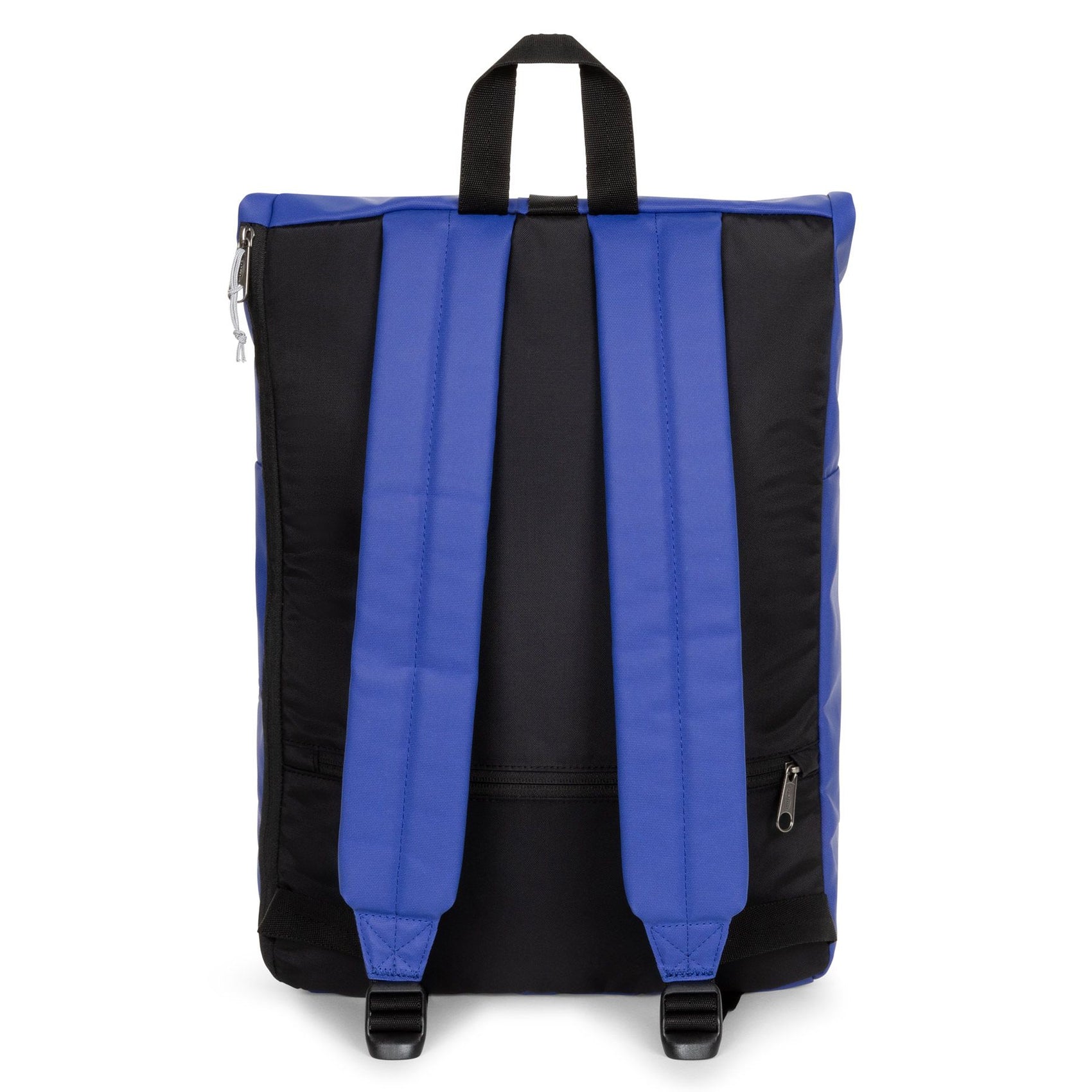 Tarp Blå