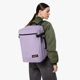 Orchid Lila