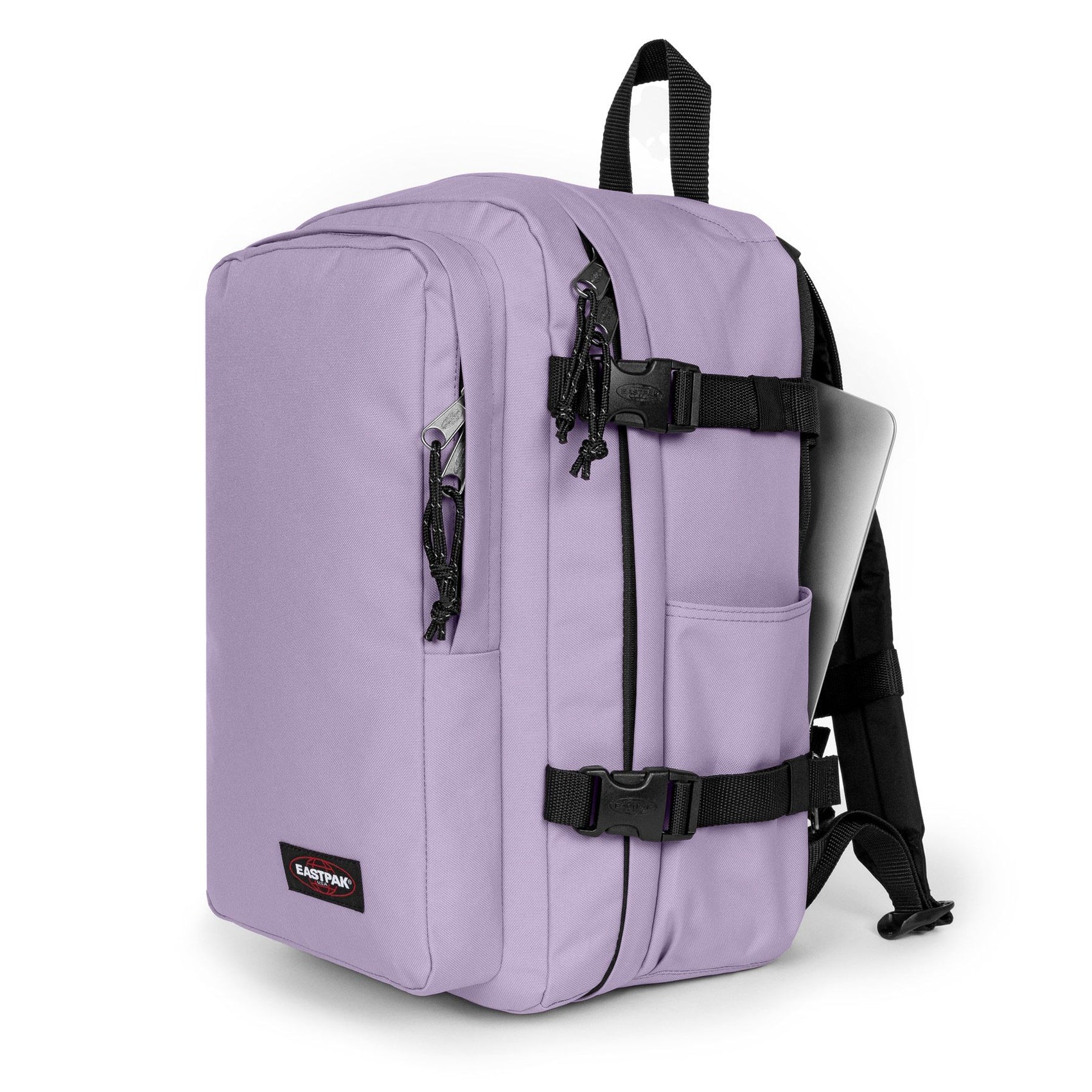 Orchid Lila