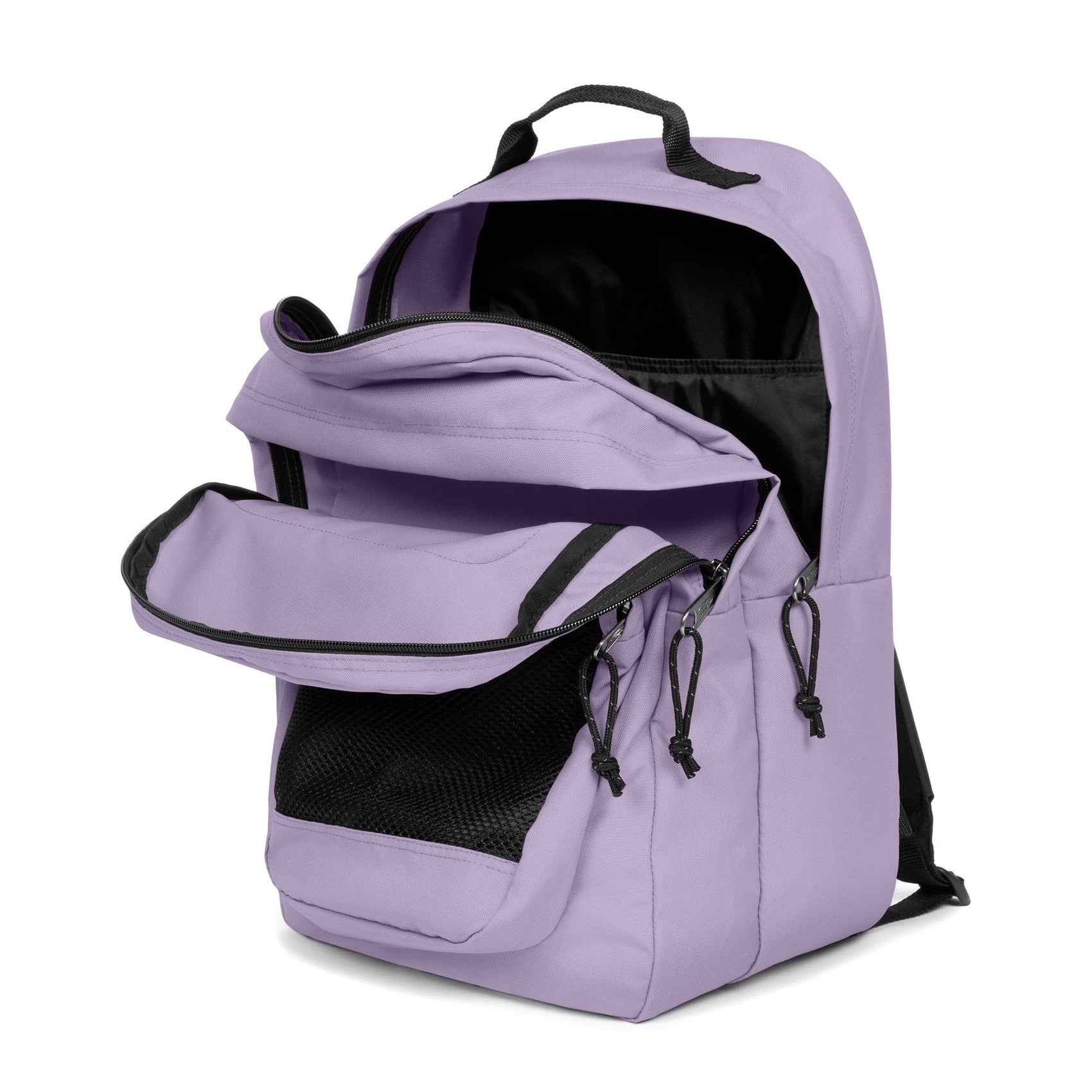 Orchid Lila