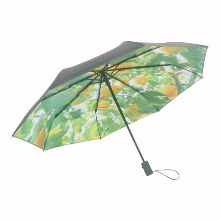 HAPPYSWEEDS Automatic Umbrella
