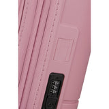 Lilas Rosa