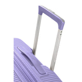Lavendel
