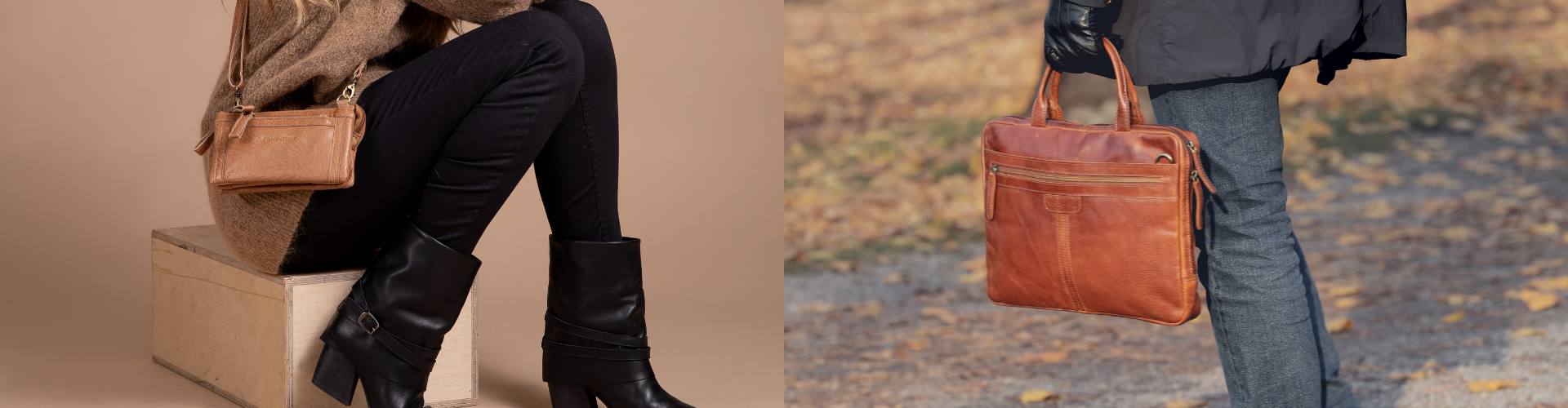 Springfield Modellbilder