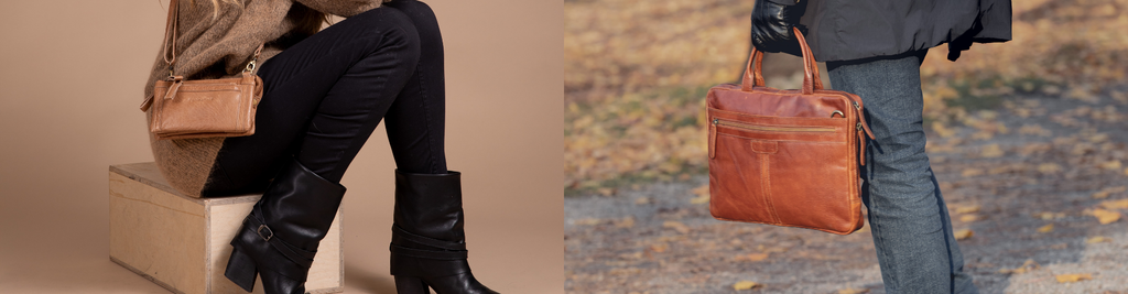 Springfield Modellbilder