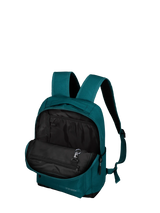 Petrol